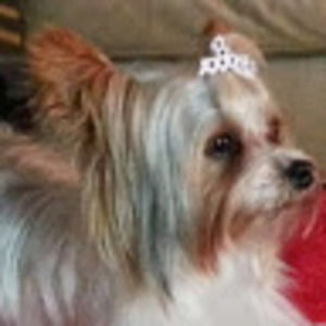 Meet your Posher, Junette